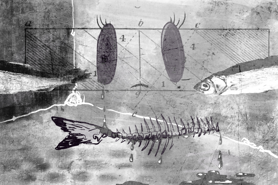游靜小說連載九:磚頭鹹魚