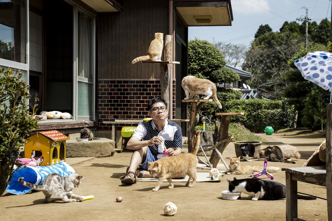 《猫咪来我家》电影剧照。