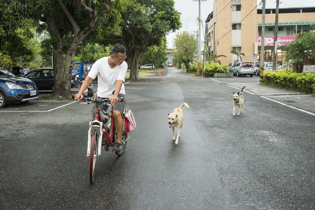 胡梓康與鄰居的兩隻狗,常常結伴前往位於台東糖廠的工作間。