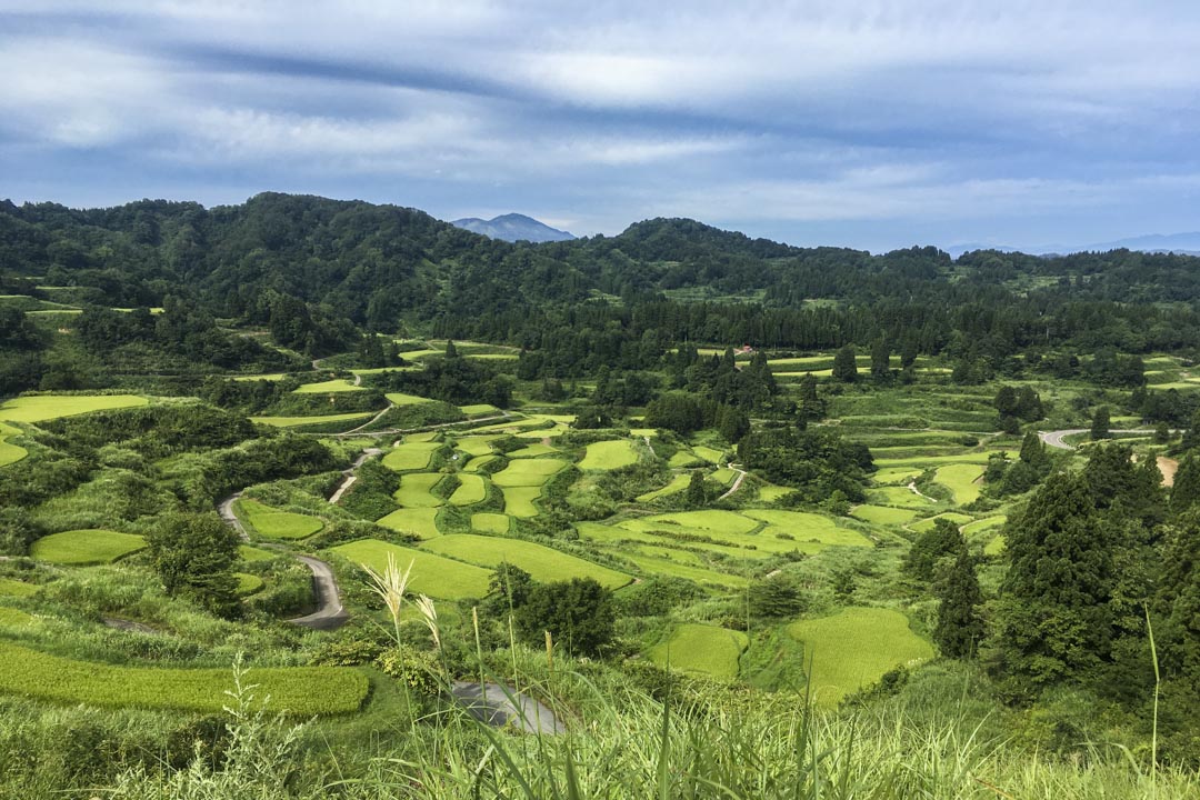 日本「越後妻有大地藝術祭」位於新潟縣南部的十日町市和津南町。