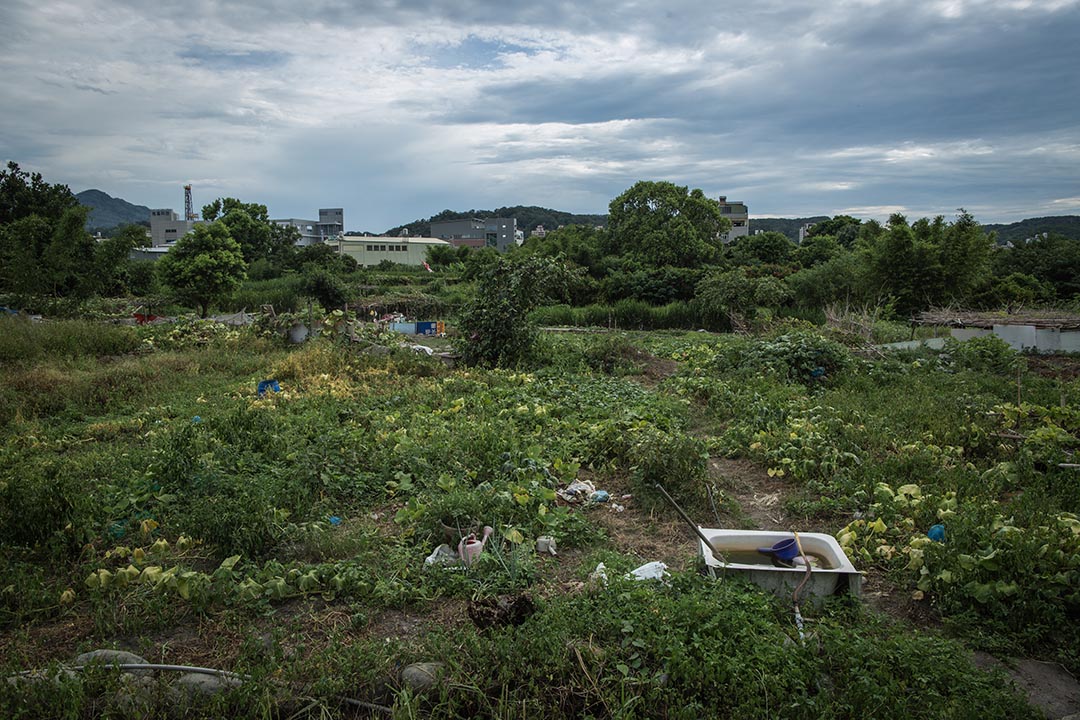 這塊土地位在新竹縣竹東鎮,北興路與工業一、二路交叉口,面積約三公頃,比一座標準棒球場稍小一點。