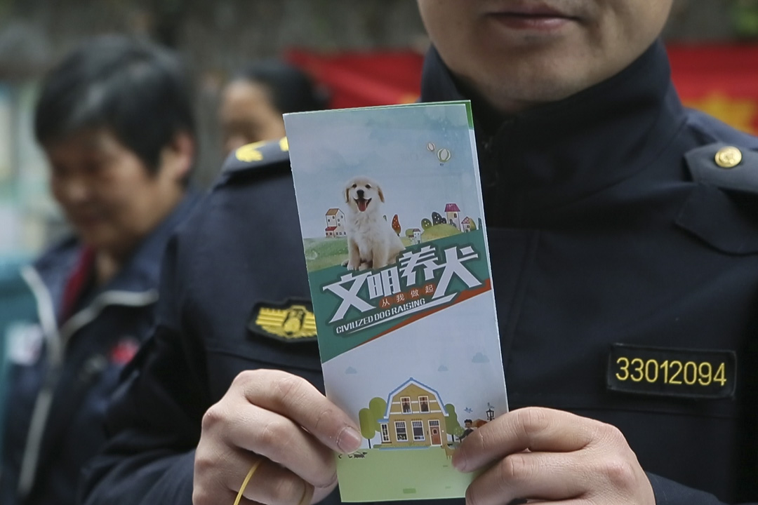 11月16日發布的《杭州市限制養犬規定》的修改條文,杭州的此次「限狗」行動主要涉及遛狗時間和方式、養犬許可證等方面,違反規定攜犬出戶行為將被處罰200至1000元,整治期間起罰點為400元,情節嚴重者將吊銷《養犬許可證》,而對於未註冊的狗狗,則可能被處以高達1萬人民幣的罰款並帶走寵物。