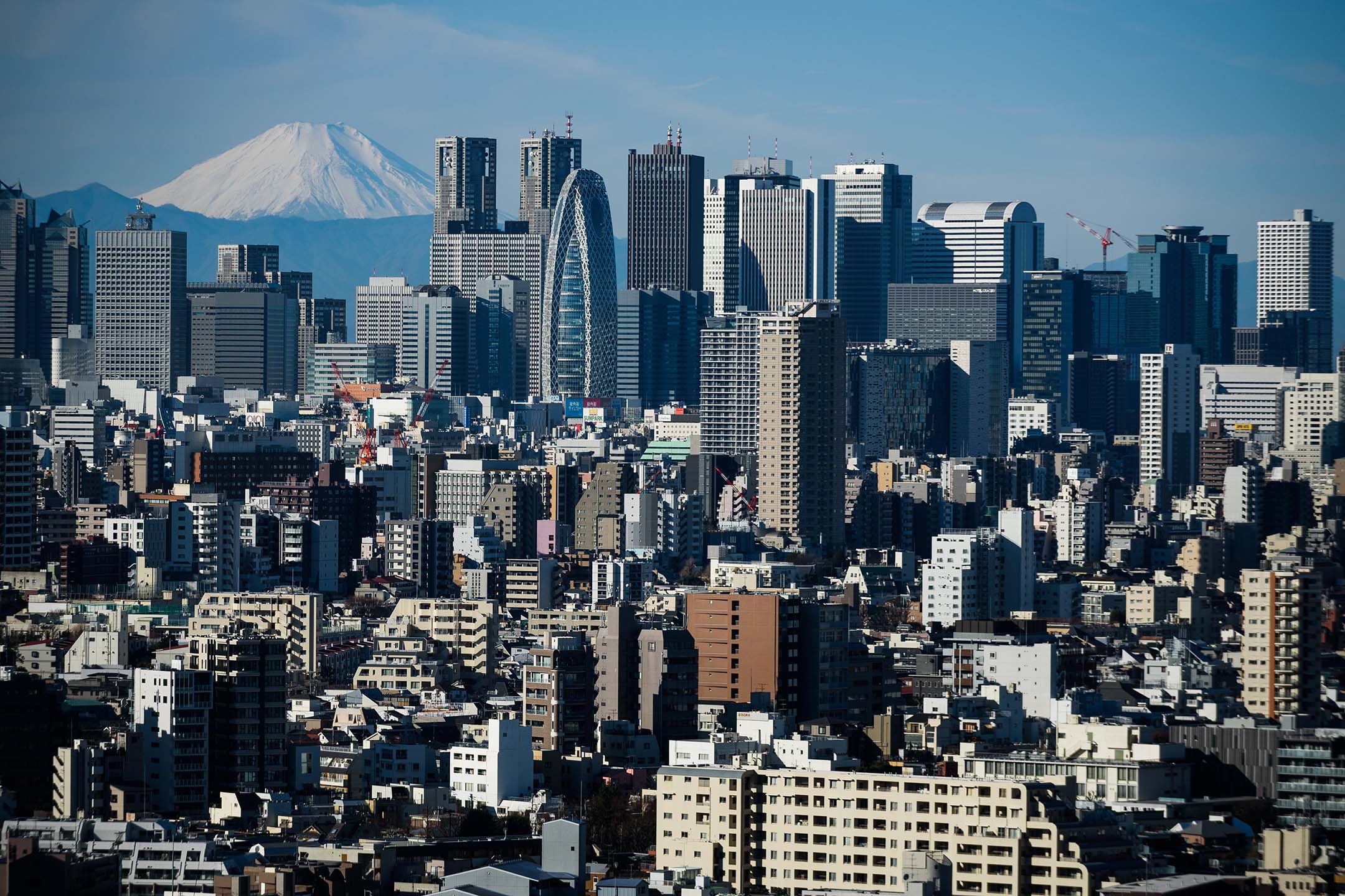 2019年1月11日,富士山与日本东京的建筑物。