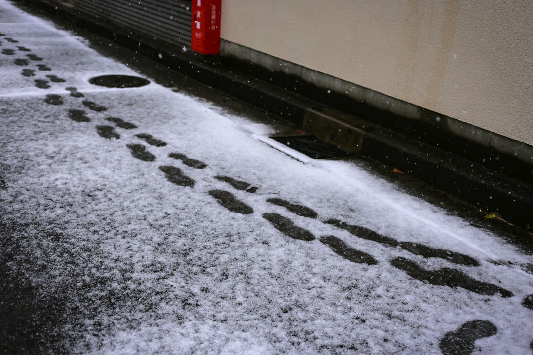 2018年2月2日,日本横滨户冢区住宅区的积雪。