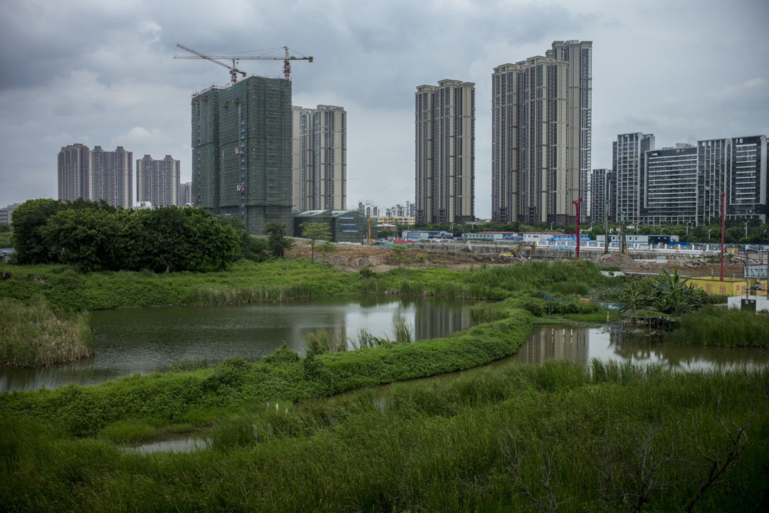 80年代開始,香港「愛國商人」霍英東就到此大舉投資,建議把南沙建成「擁有國際性港口的現代濱海小城」。