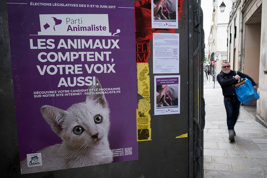 2017年6月7日,一名男子在巴黎的“Parti Animaliste”選舉活動海報旁走過。