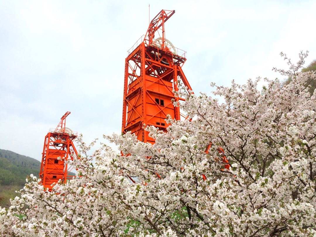 炭礦紀念森林公園。