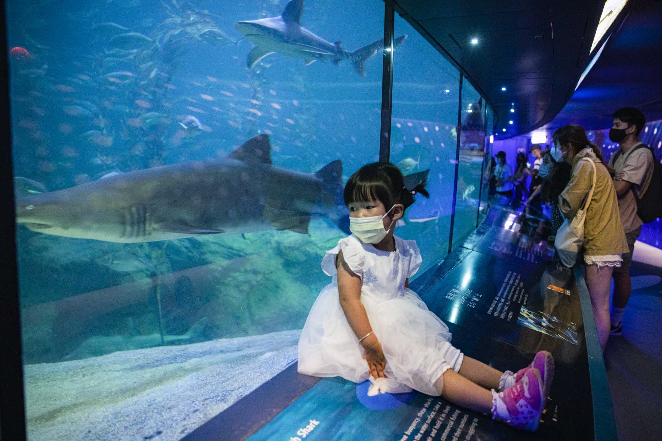 2021年4月15日,一個女孩在鯊魚館内。