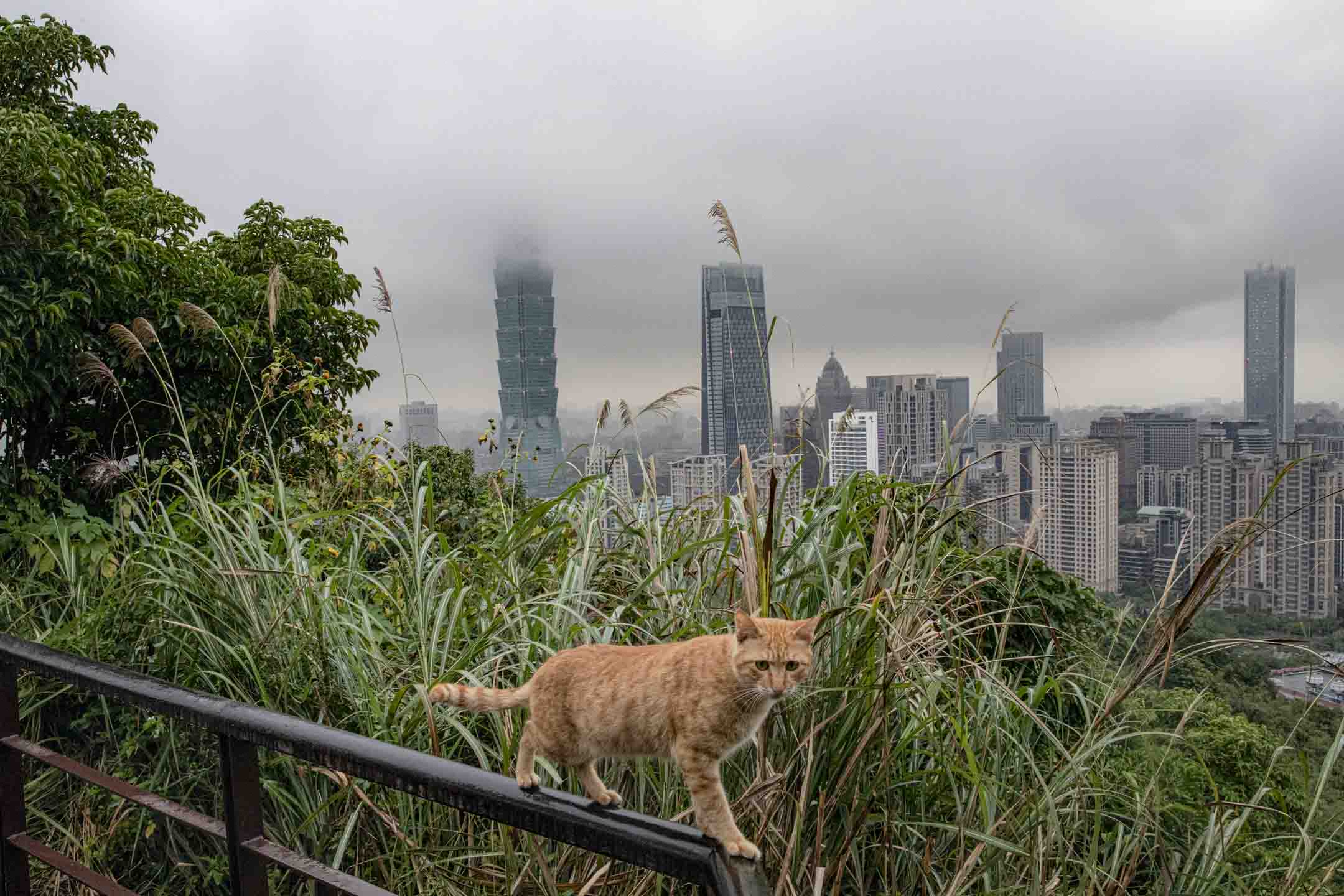 2021年，台灣。