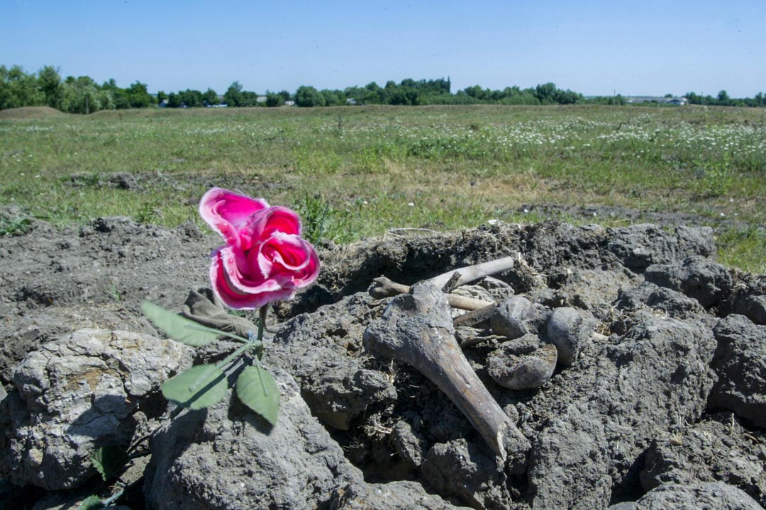 2007年6月7日,乌克兰Gvozdavka,二战期间一个被屠杀犹太人的万人坑,有人在旁放了一朵花。