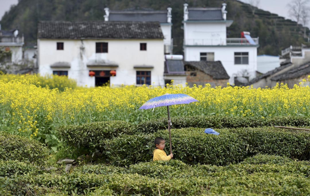 2015年3月27日,安徽黃山的農村,一個男孩站在田野裡。