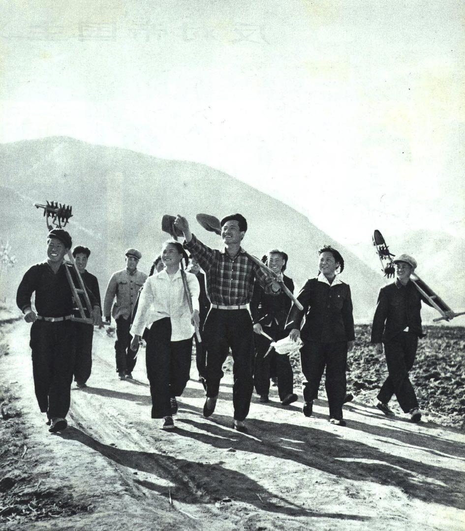 1964年,上山下鄉運動。