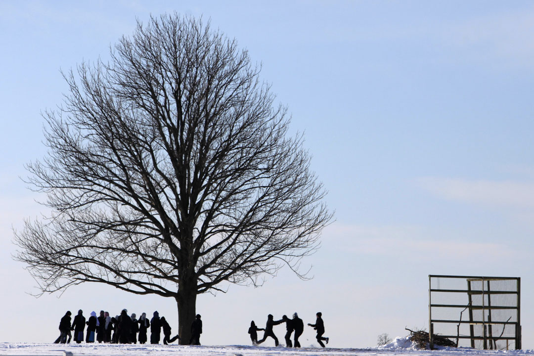 2011年1月13日，阿米什人（Amish）在賓夕法尼亞州蘭開斯特縣玩雪。
