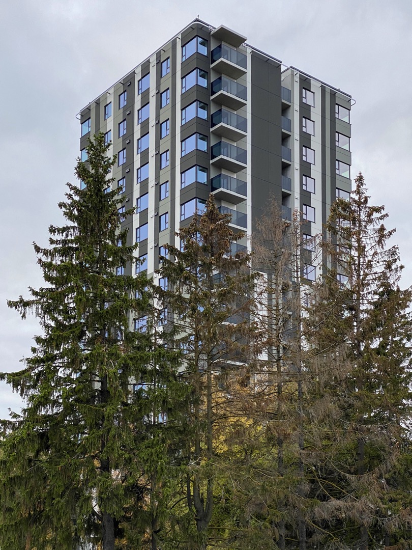 塔林街头的北欧建筑。