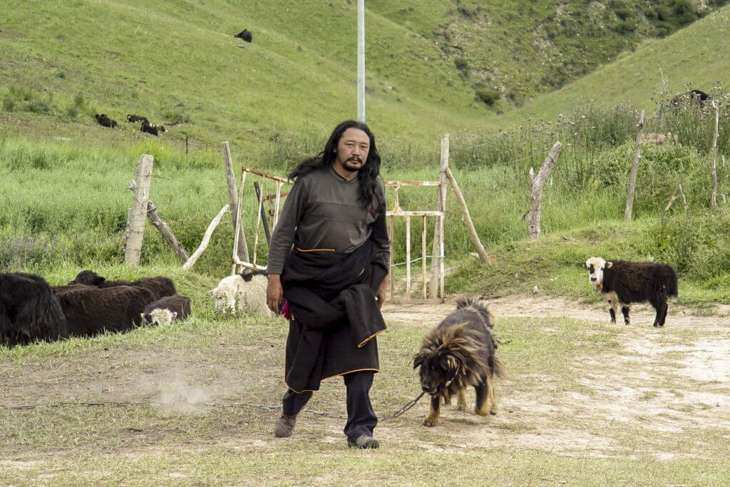 《老狗》(2011)劇照。
