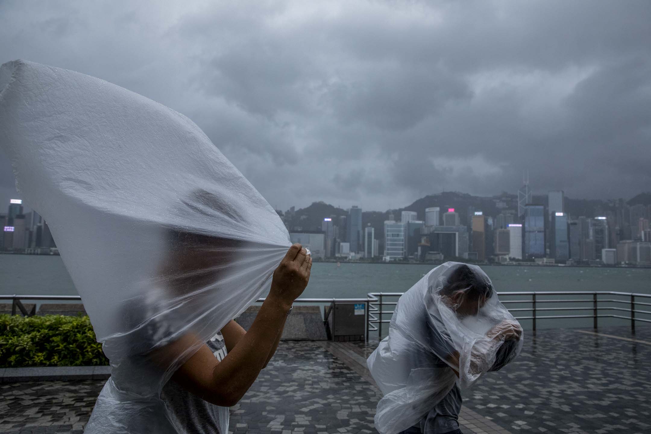 2023年9月1日,超强台风苏拉逐步靠近香港,尖沙咀的市民在8号风球下逆风而行。摄:林振东/端传媒