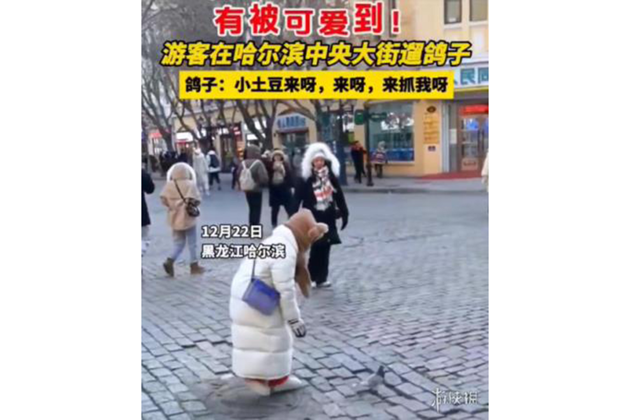 不少网民拍摄“南方小土豆”到网络上。图:网上片段