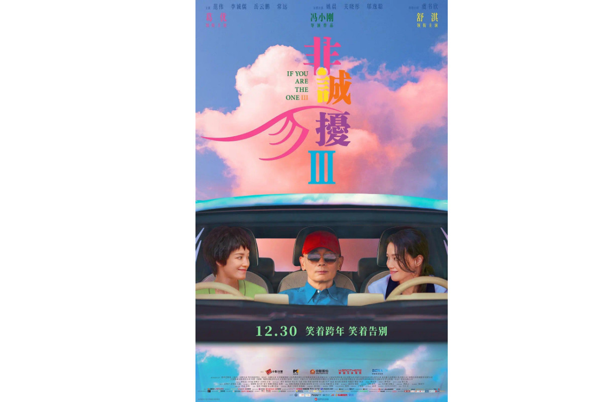 電影《非誠勿擾3》。圖：網上圖片