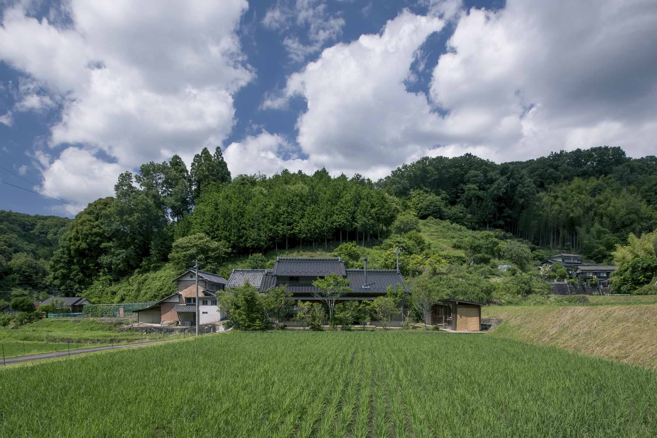 臼井家外的稻田。摄影:东畑贤治