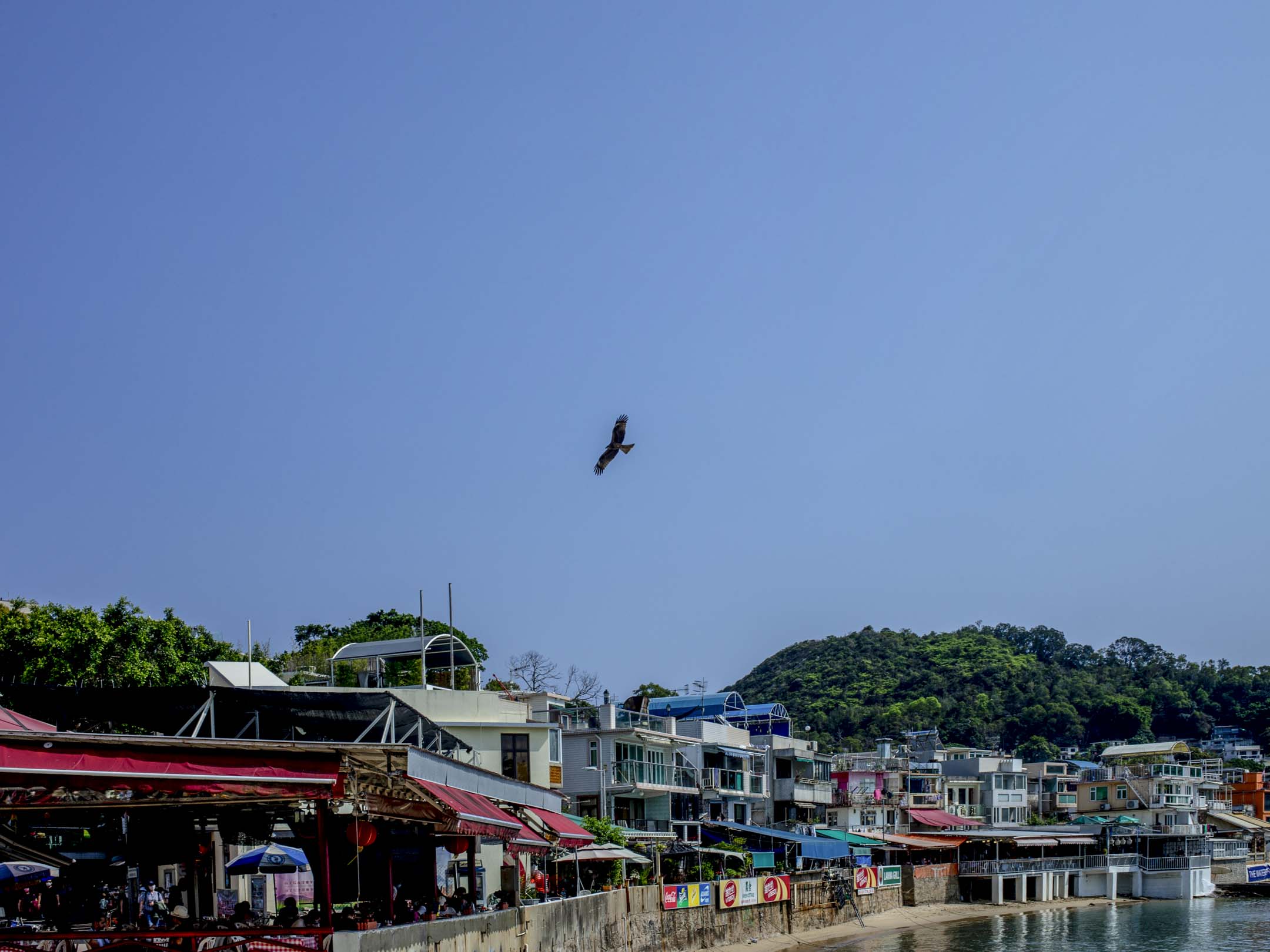 南丫島。攝：林振東/端傳媒