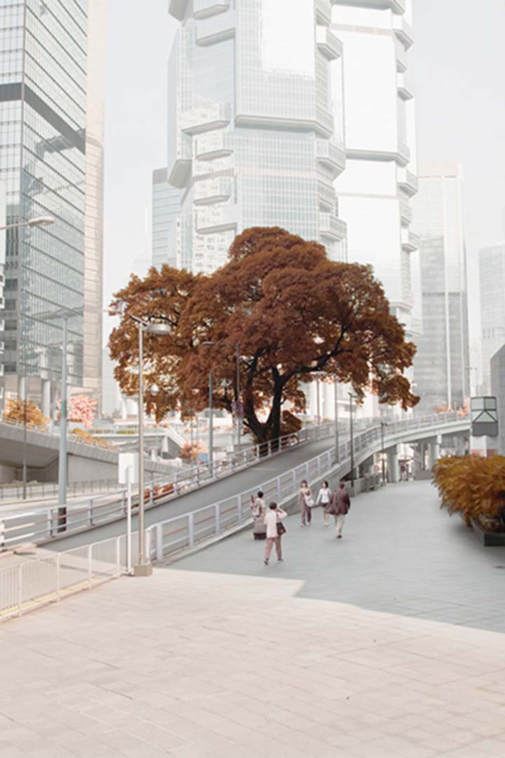 “大学毕业后,我仍然未想过创作可以是一条出路。但 K11 的人看到我在毕业展上的作品,给了我一笔费用,邀请我创作一个新作品,并在K11展出。这次机会让我想,也许自己可以试试做创作。当时我还在中学工作,周一到周五上班,周末就出去拍照片。虽然十分忙碌,但很愉快。”图片为《逐“绿”都市》系列之一,由萧伟恒提供