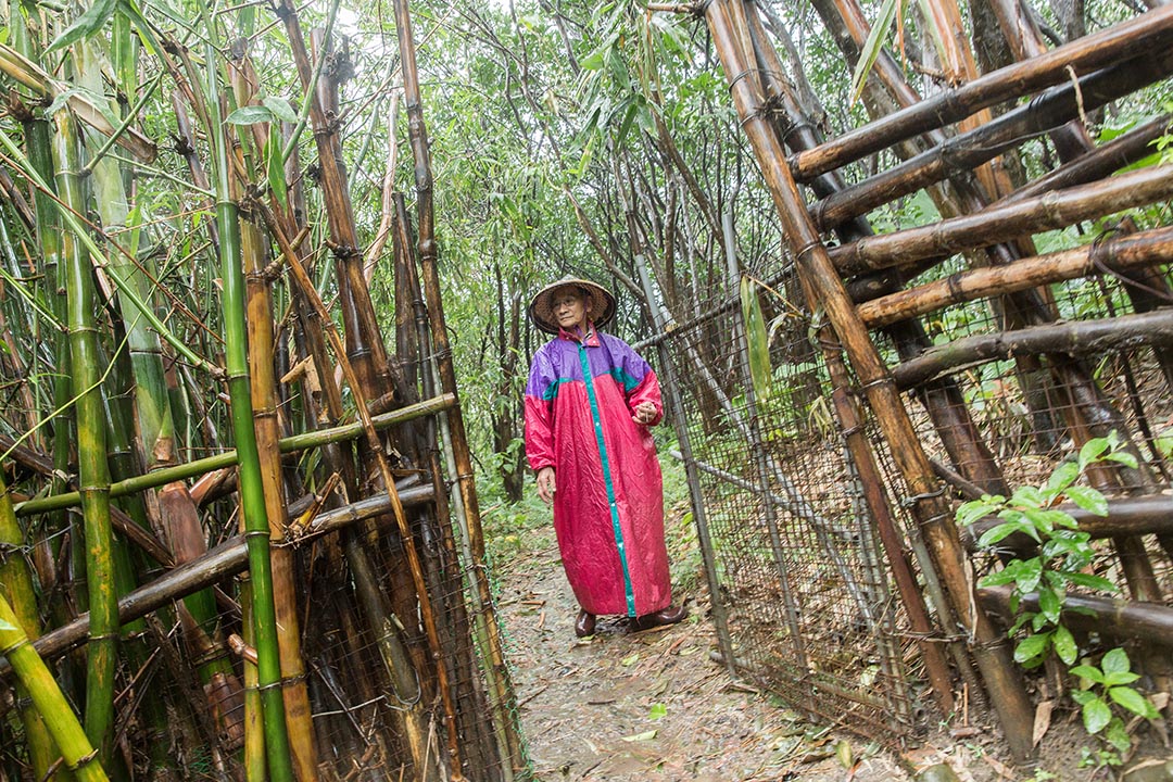 美河市征收土地受影响地主杨正吉。摄:张国耀/端传媒